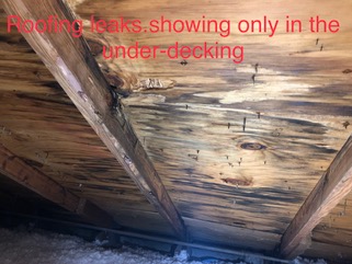Cornerstone Home Inspections photo &mdash; Jupiter & Palm Beach County
